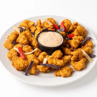 Florida Gator Tail